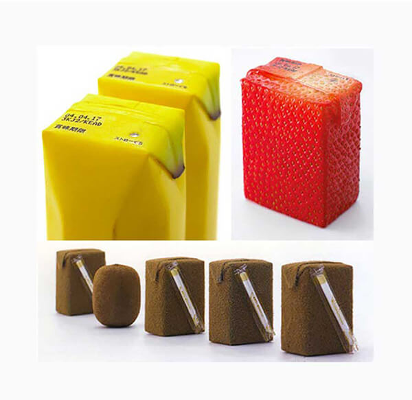 بسته بندی شیک